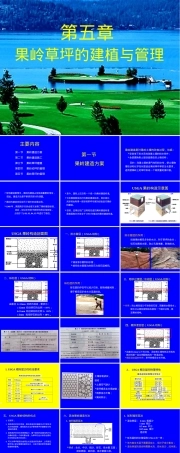 草坪管理课件第5章果岭草坪建植与管理PPT.ppt