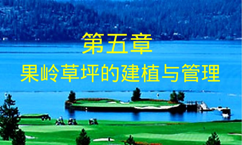 草坪管理课件第5章果岭草坪建植与管理PPT.ppt