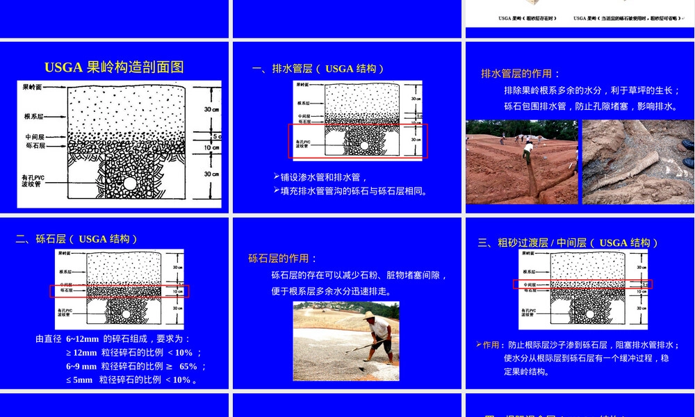 草坪管理课件第5章果岭草坪建植与管理PPT.ppt