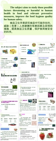 食品微生物污染及其预防教学PPT课件.ppt