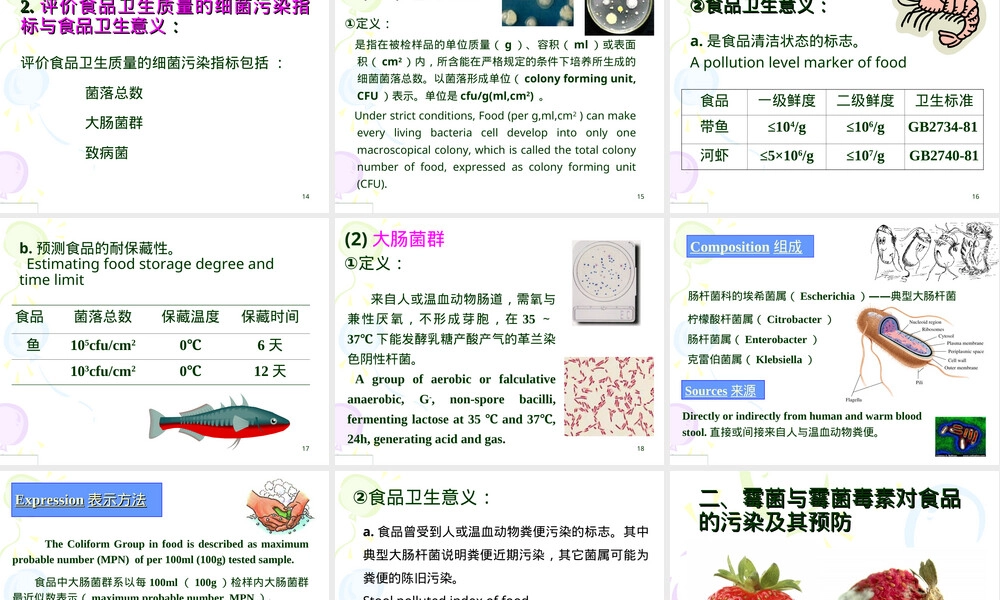 食品微生物污染及其预防教学PPT课件.ppt