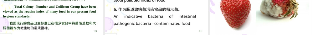 食品微生物污染及其预防教学PPT课件.ppt