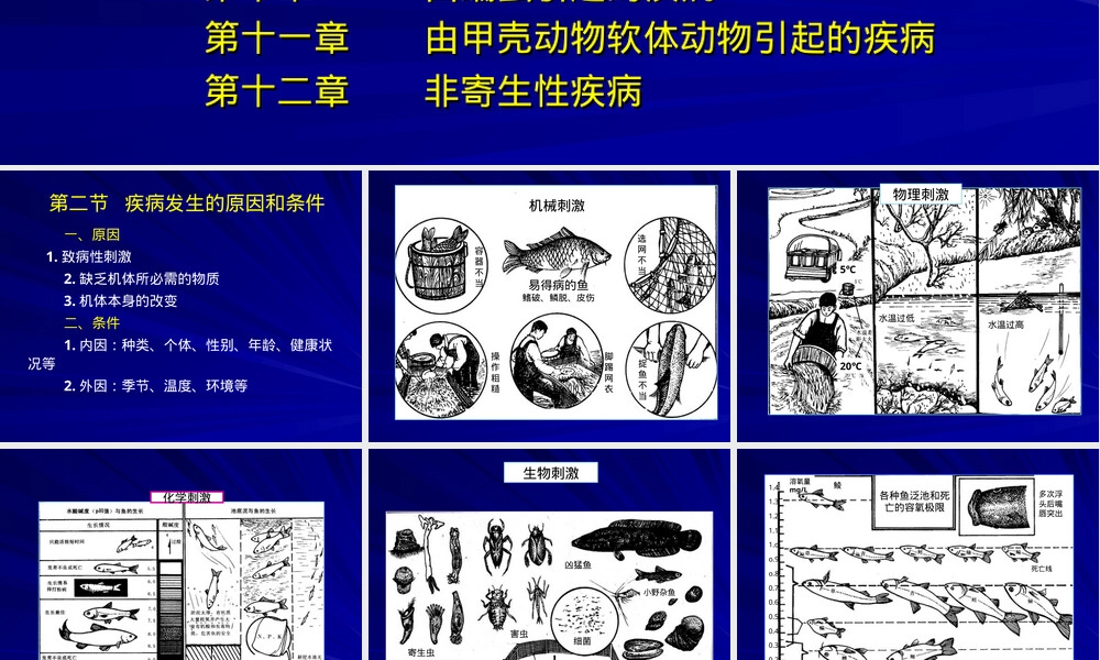 水产动物病害学期末复习PPT课件.ppt