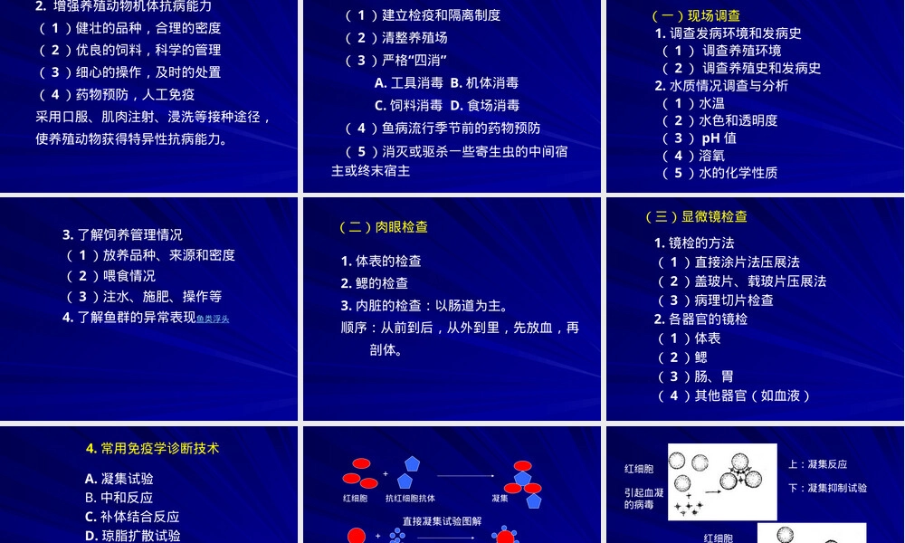 水产动物病害学期末复习PPT课件.ppt
