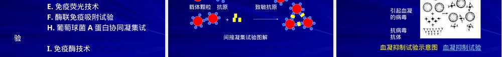 水产动物病害学期末复习PPT课件.ppt