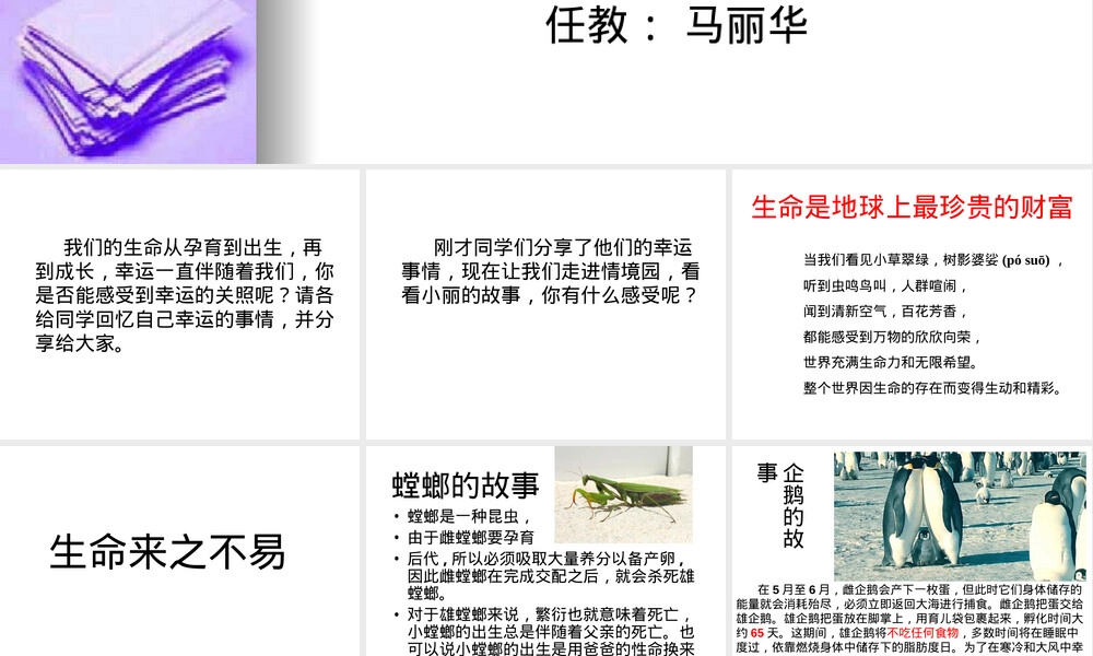 前川三小四年级语文教学课件.ppt