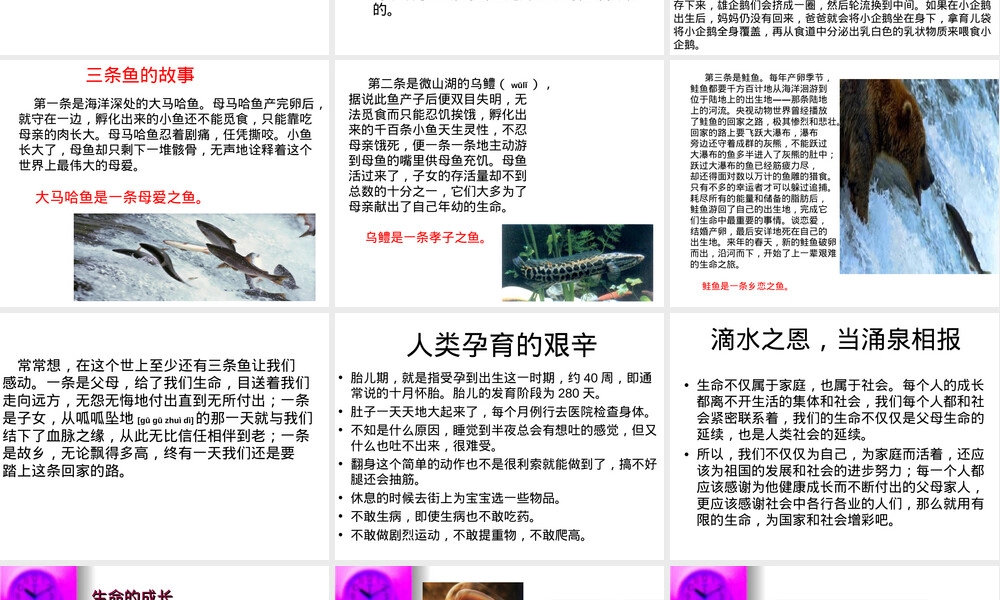 前川三小四年级语文教学课件.ppt