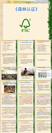 森林认证知识培训PPT课件.ppt