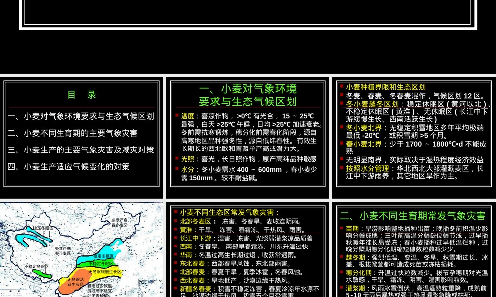 小麦主要气象灾害及其应对PPT课件.ppt