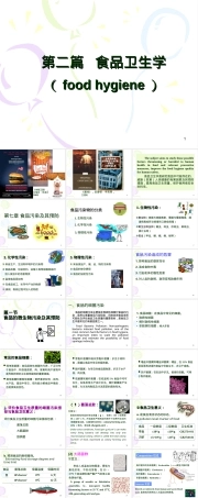 食品微生物污染及其预防PPT课件.ppt