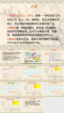 烧结莫来石材料介绍PPT课件.pptx