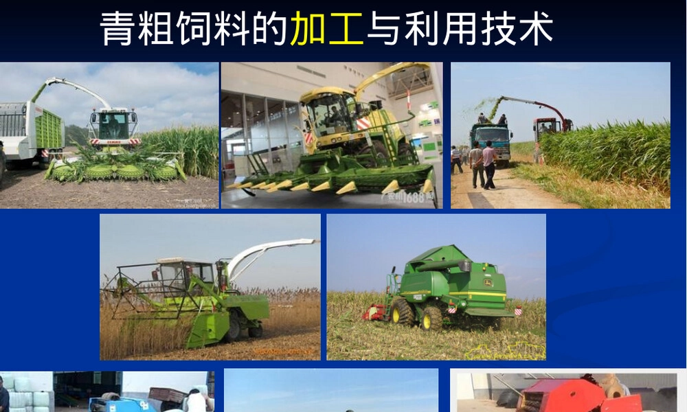 青贮技术及利用方法教学PPT课件.ppt