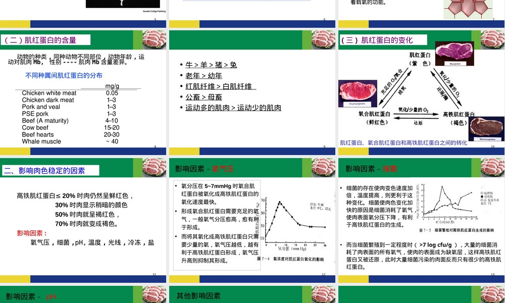 肉的食用品质及其评定教学PPT课件.ppt