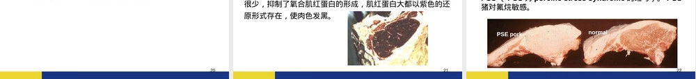 肉的食用品质及其评定教学PPT课件.ppt