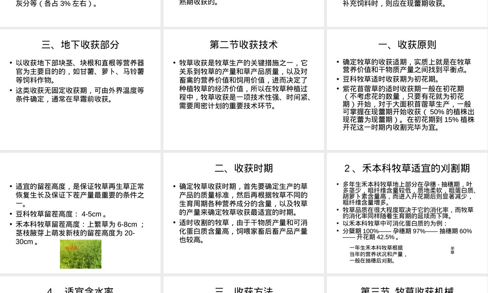 饲用饲料收获技术PPT课件.ppt