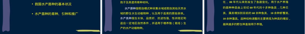 水产养殖管理与水产品质量安全监管PPT课件.ppt