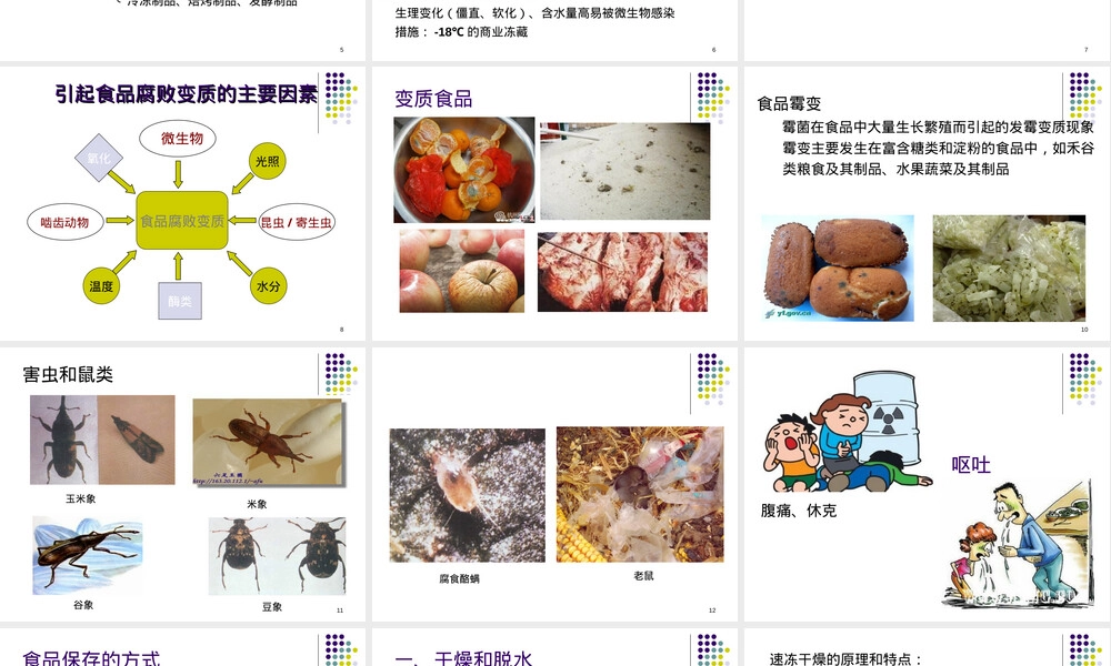 食品储存安全与管理教学PPT课件.ppt
