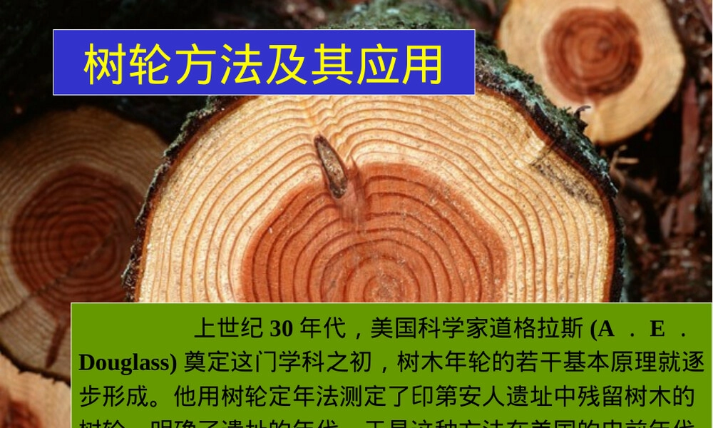 树轮方法及其应用PPT课件.ppt