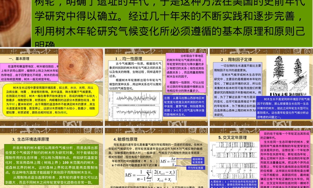 树轮方法及其应用PPT课件.ppt