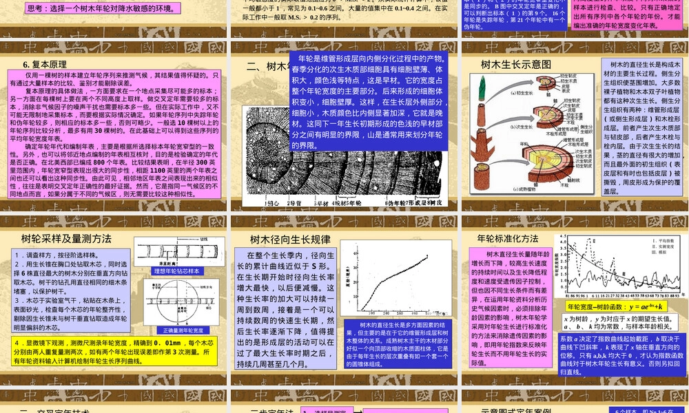 树轮方法及其应用PPT课件.ppt