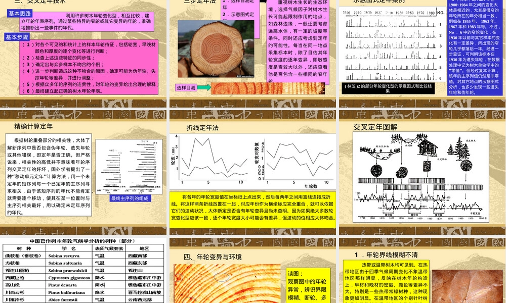 树轮方法及其应用PPT课件.ppt