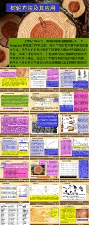 树轮方法及其应用PPT课件.ppt
