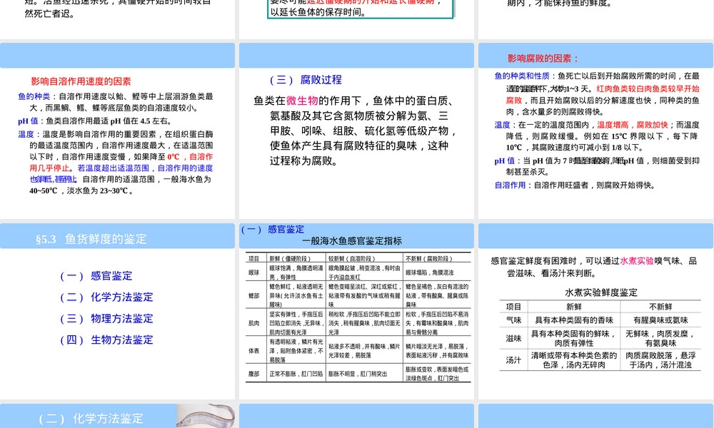 任务八水产品保鲜与贮运管理PPT课件.ppt