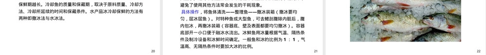 任务八水产品保鲜与贮运管理PPT课件.ppt