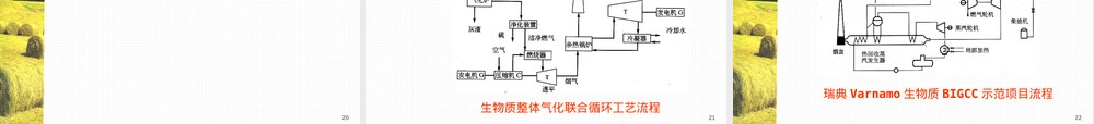 新能源材料与技术生物质能材料PPT课件.ppt
