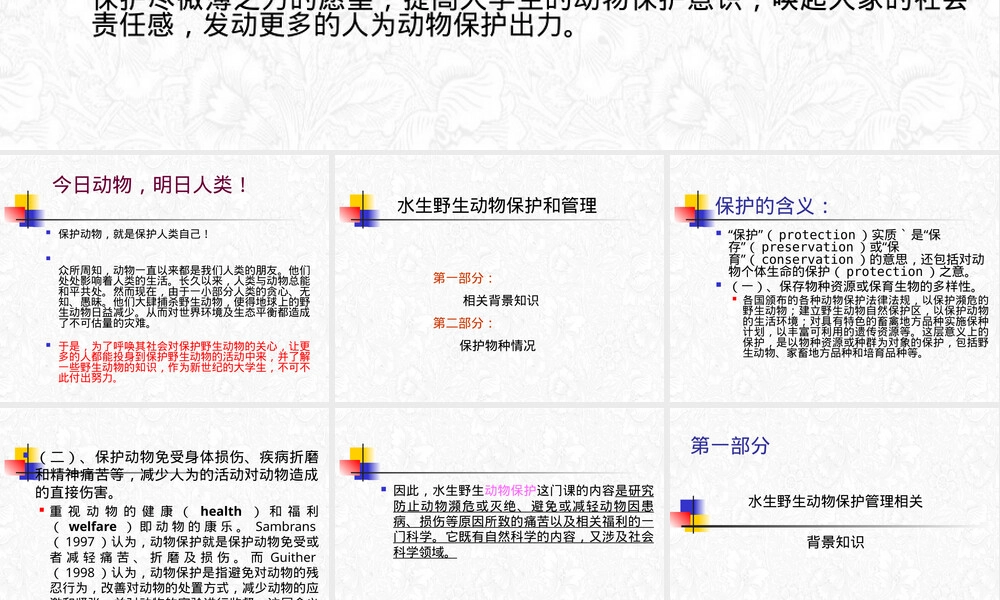 水生野生动物保护管理PPT课件.pptx