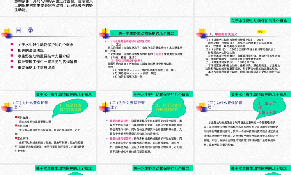 水生野生动物保护管理PPT课件.pptx