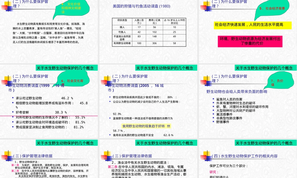 水生野生动物保护管理PPT课件.pptx