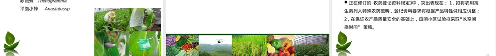 生物农药的管理与登记要求PPT课件.ppt