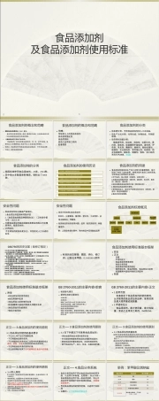 食品添加剂及其使用标准PPT课件.pptx