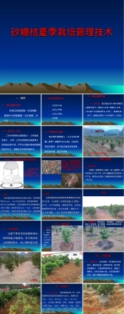 砂糖桔夏季管理技术PPT课件.ppt