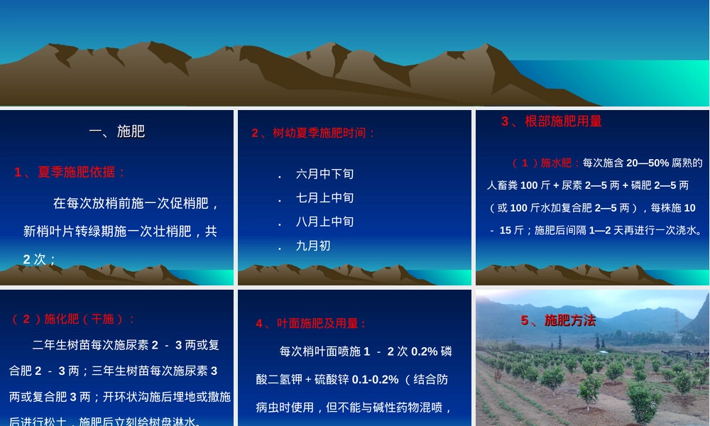 砂糖桔夏季管理技术PPT课件.ppt