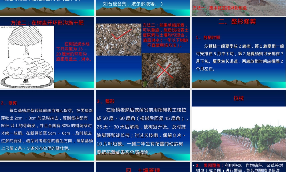 砂糖桔夏季管理技术PPT课件.ppt