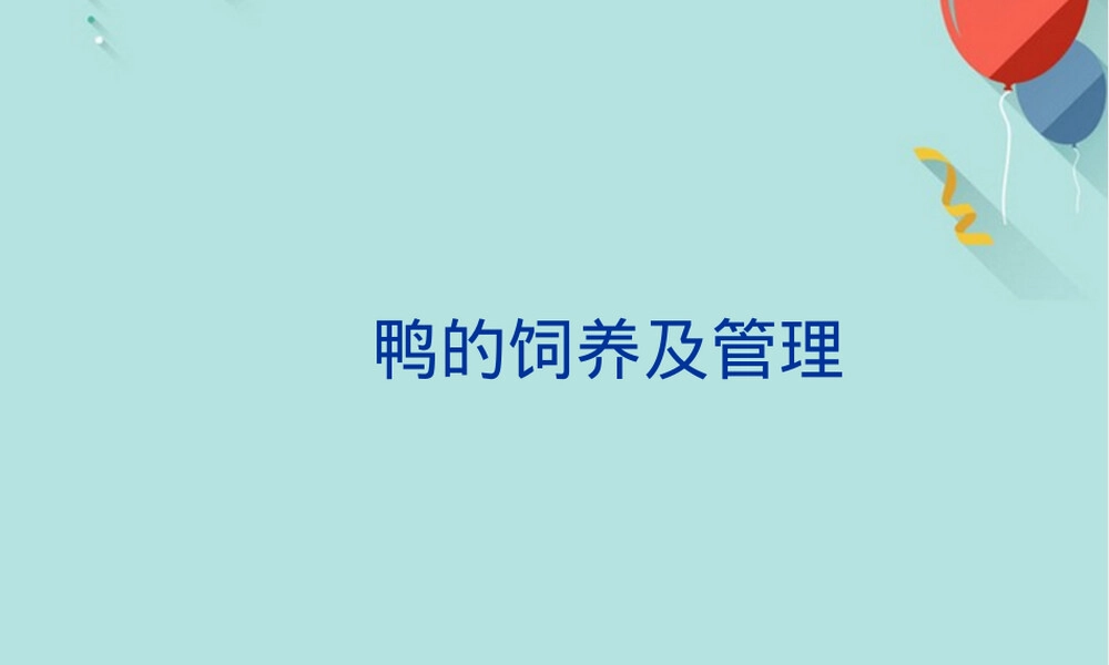 鸭的饲养管理技术PPT课件.ppt