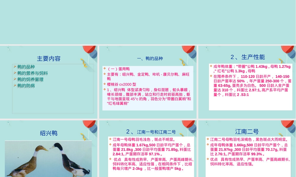 鸭的饲养管理技术PPT课件.ppt