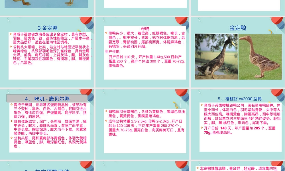鸭的饲养管理技术PPT课件.ppt