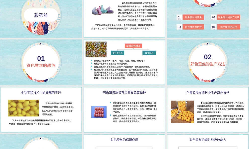 新型纺织材料彩蚕丝PPT课件.pptx