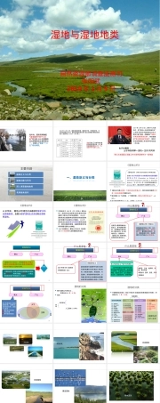 湿地及其分类国土三调教学PPT课件.ppt