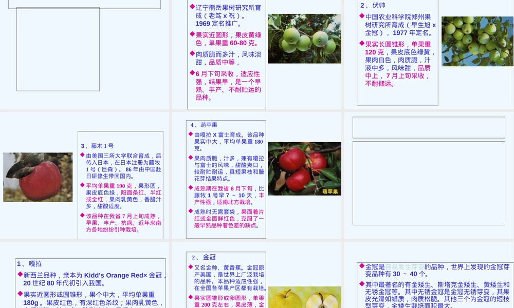 苹果新品种栽培管理技术PPT课件.ppt