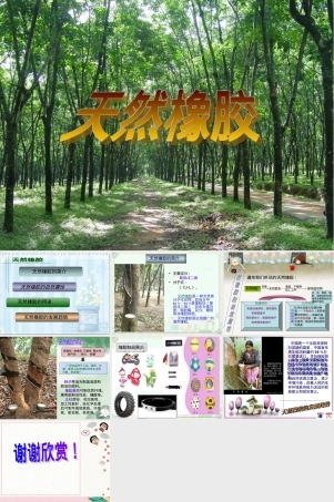 天然橡胶高分子材料PPT课件.ppt