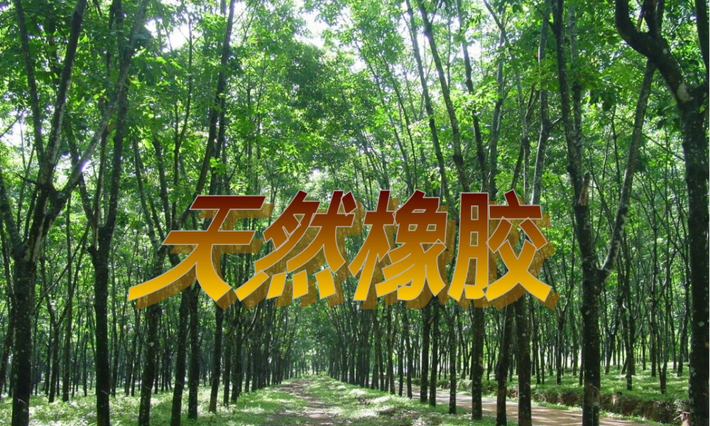 天然橡胶高分子材料PPT课件.ppt