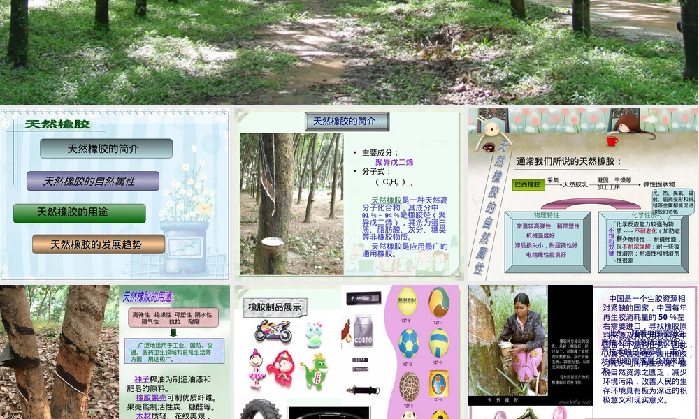 天然橡胶高分子材料PPT课件.ppt