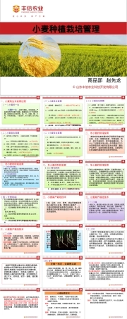 小麦栽培种植管理技术PPT课件.pptx