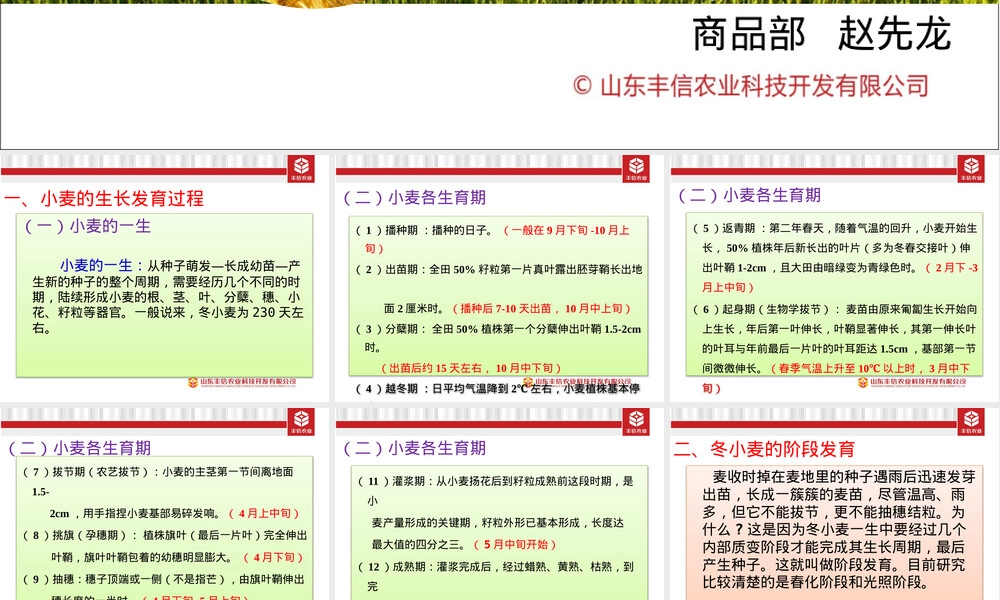 小麦栽培种植管理技术PPT课件.pptx