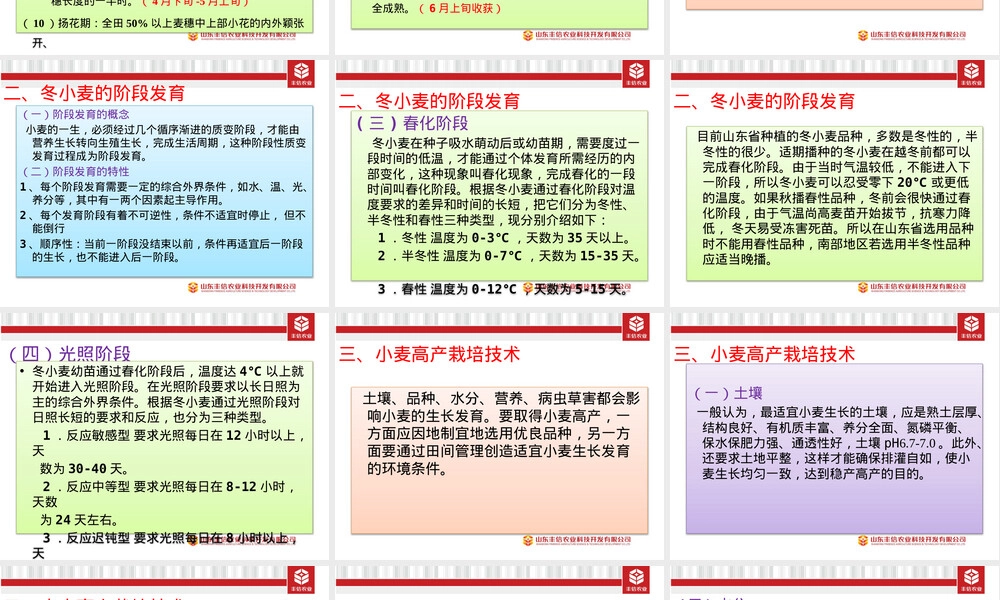 小麦栽培种植管理技术PPT课件.pptx