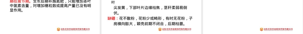 小麦栽培种植管理技术PPT课件.pptx